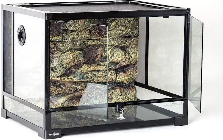 Reptile Terrarium Everything: Best Tanks for Setup, Buying Guide, Setup ...