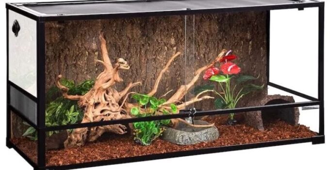 Top 4 Best Bearded Dragon Terrariums, Cages & Tanks